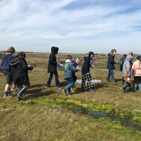 Crest Award students explore Tollesbury marshes