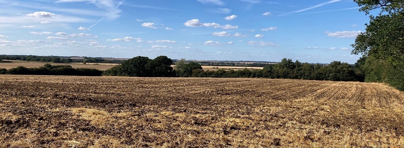 Field and sky