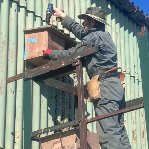 Installing Kestrel nesting boxes for TCP in Tollesbury