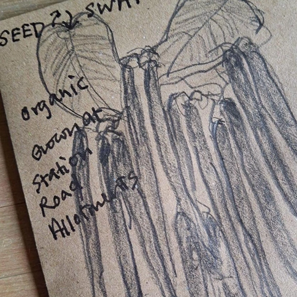 tcp-seed-swap-packet