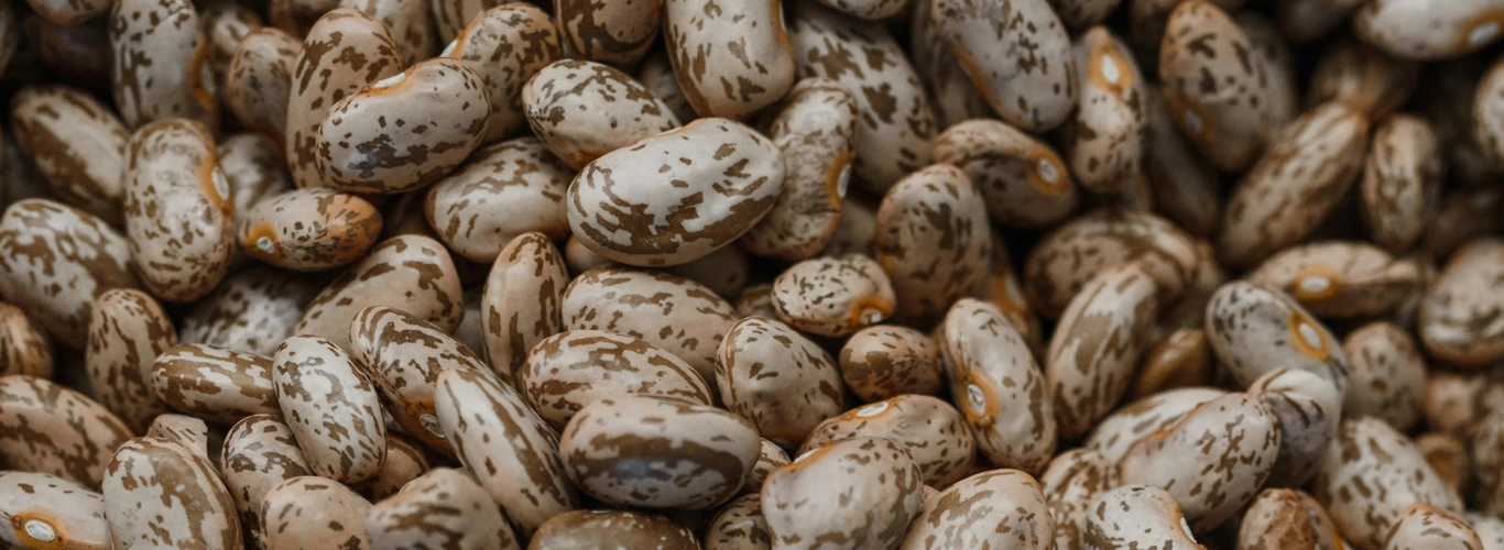 tcp-seeds-tollesbury