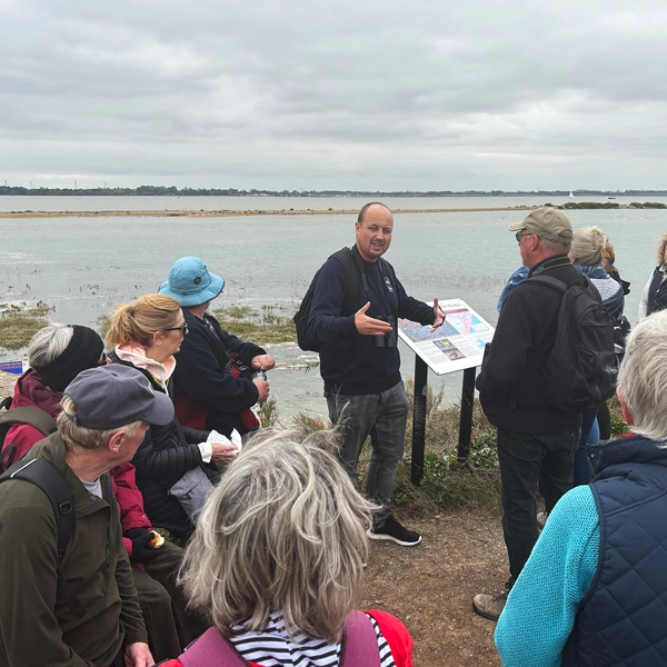 tcp-wick-walk-feature