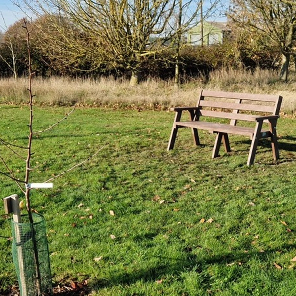 Bench installed at Tollesbury Community Orchard for TCP